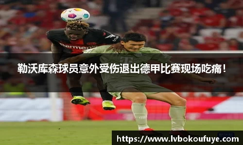 JN江南下载