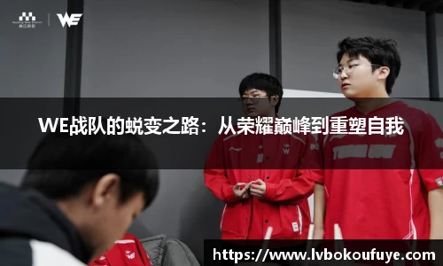 JN江南下载